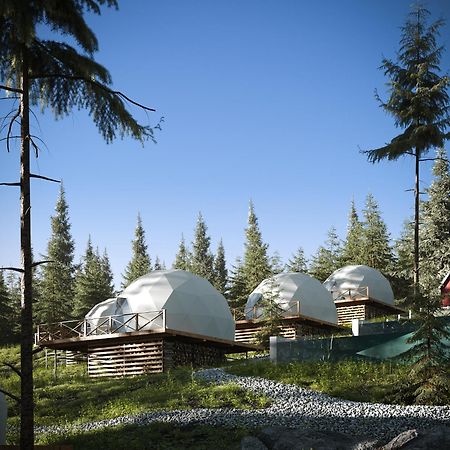 Gm Eco Bubble Villa Yablunytsya Exterior photo